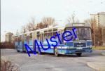 Postkarte 35 (MAN SGG 280 H Doppelgelenkbus, Stadtwerke München)