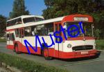 Postkarte 81 (Mercedes/Ludewig O 317, OCM-Museumsbus)